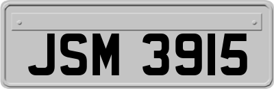JSM3915
