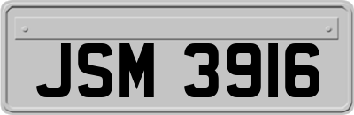 JSM3916