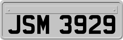 JSM3929