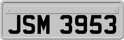 JSM3953