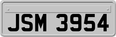 JSM3954