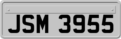 JSM3955
