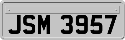 JSM3957