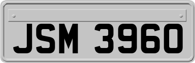 JSM3960
