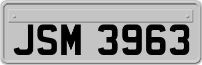 JSM3963