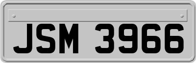 JSM3966