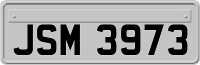 JSM3973