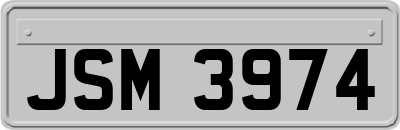 JSM3974