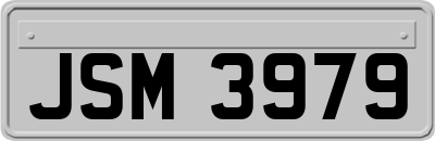 JSM3979
