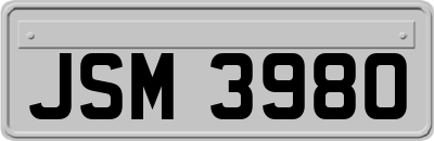 JSM3980