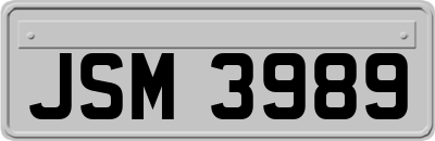 JSM3989