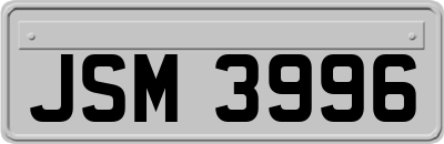 JSM3996