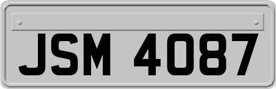 JSM4087
