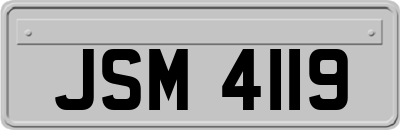 JSM4119