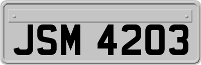 JSM4203
