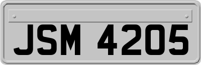 JSM4205