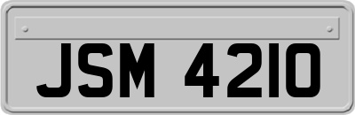 JSM4210