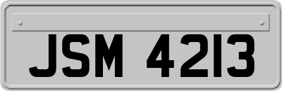 JSM4213
