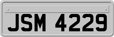 JSM4229