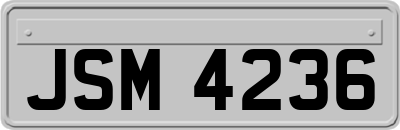 JSM4236