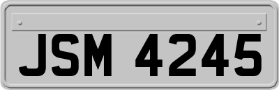 JSM4245