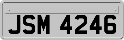 JSM4246