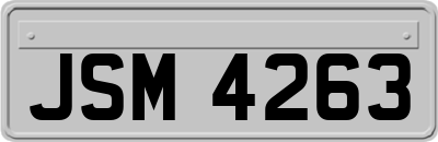 JSM4263