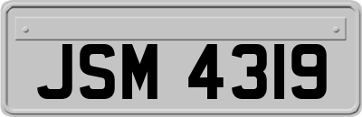 JSM4319