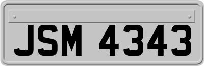 JSM4343