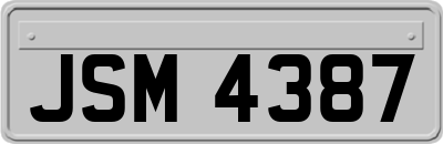 JSM4387