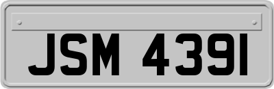 JSM4391