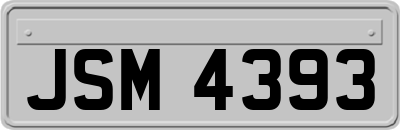 JSM4393
