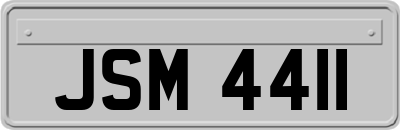 JSM4411