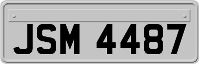 JSM4487