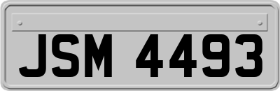 JSM4493