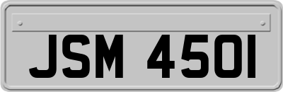 JSM4501