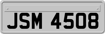 JSM4508