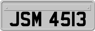 JSM4513