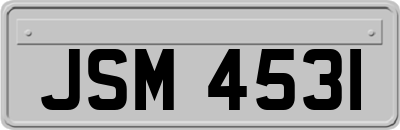 JSM4531
