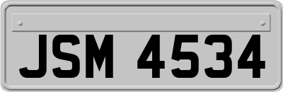 JSM4534