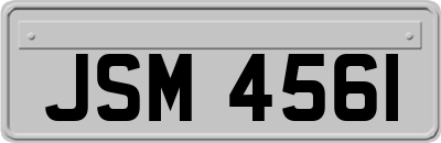 JSM4561