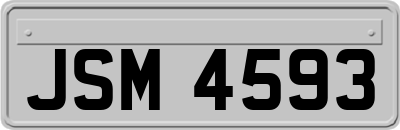 JSM4593