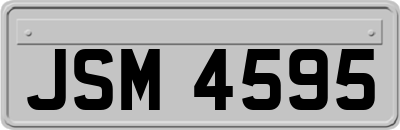 JSM4595