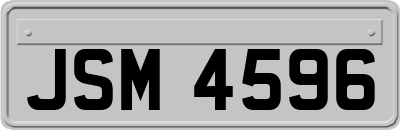 JSM4596