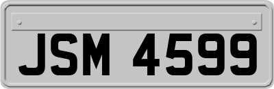 JSM4599