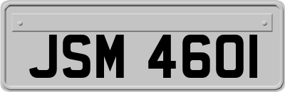 JSM4601
