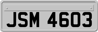 JSM4603