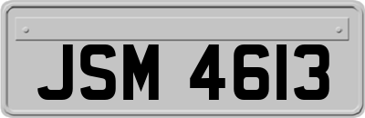 JSM4613