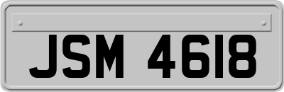 JSM4618