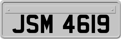 JSM4619